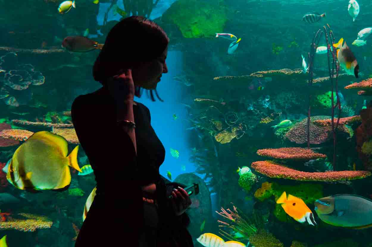 girl at aquarium date idea
