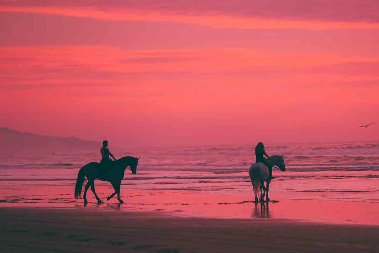 horseback riding beach date idea