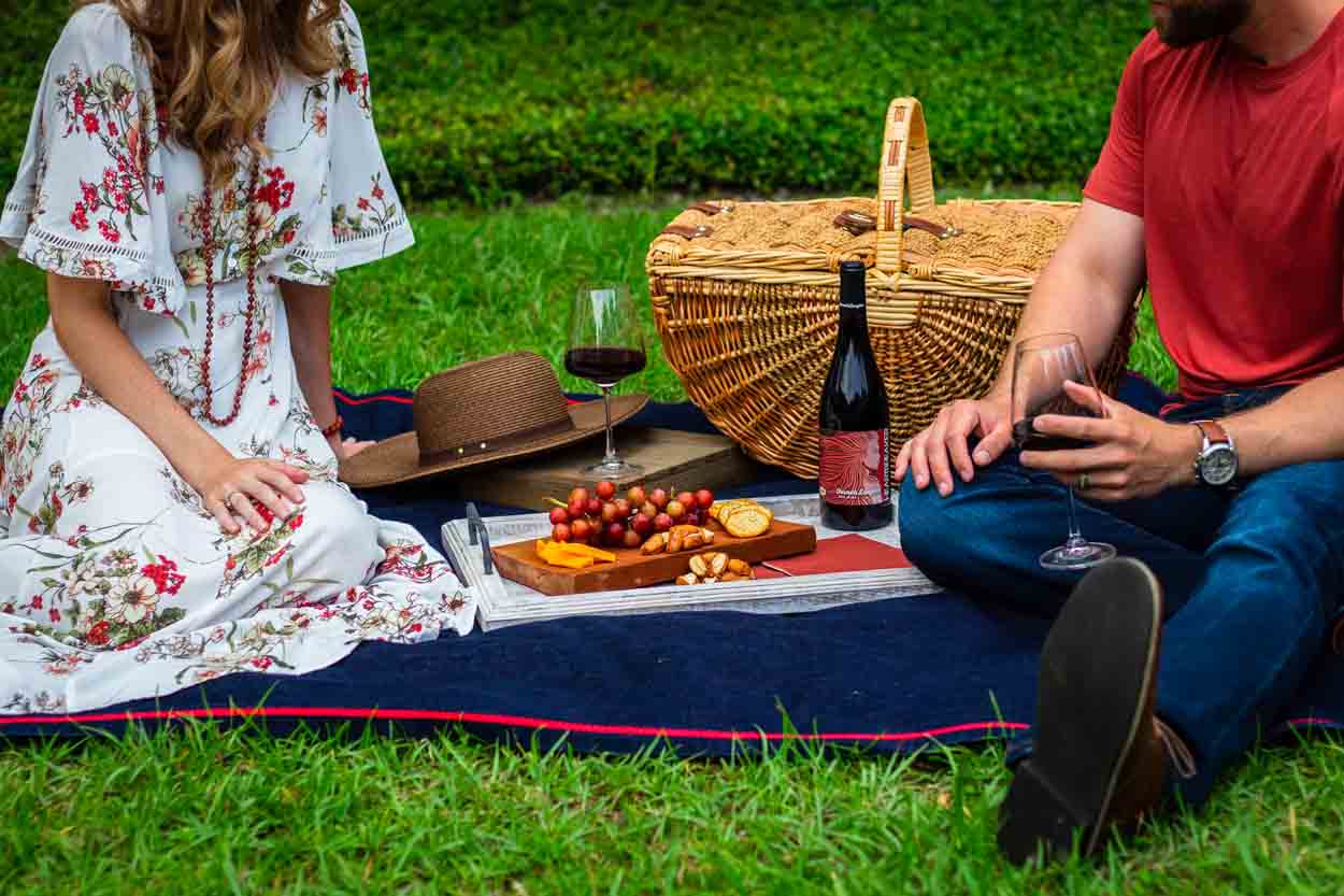 picnic date idea