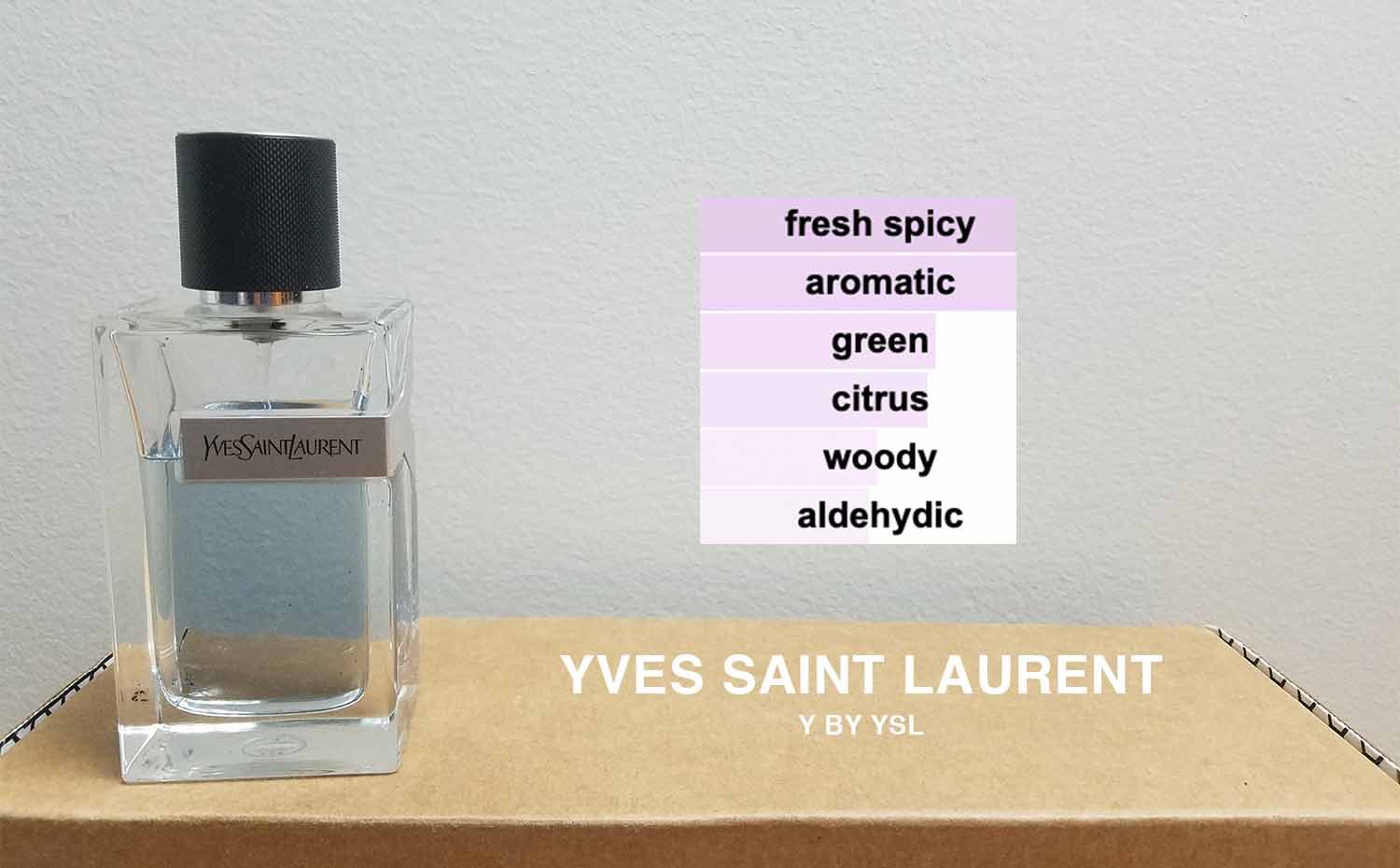 Yves Saint Laurent Y By YSL