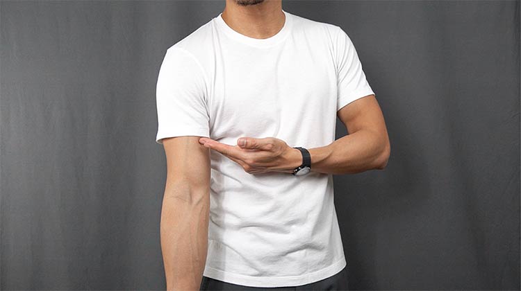Uniqlo Supima Cotton T-Shirt Sleeve Length
