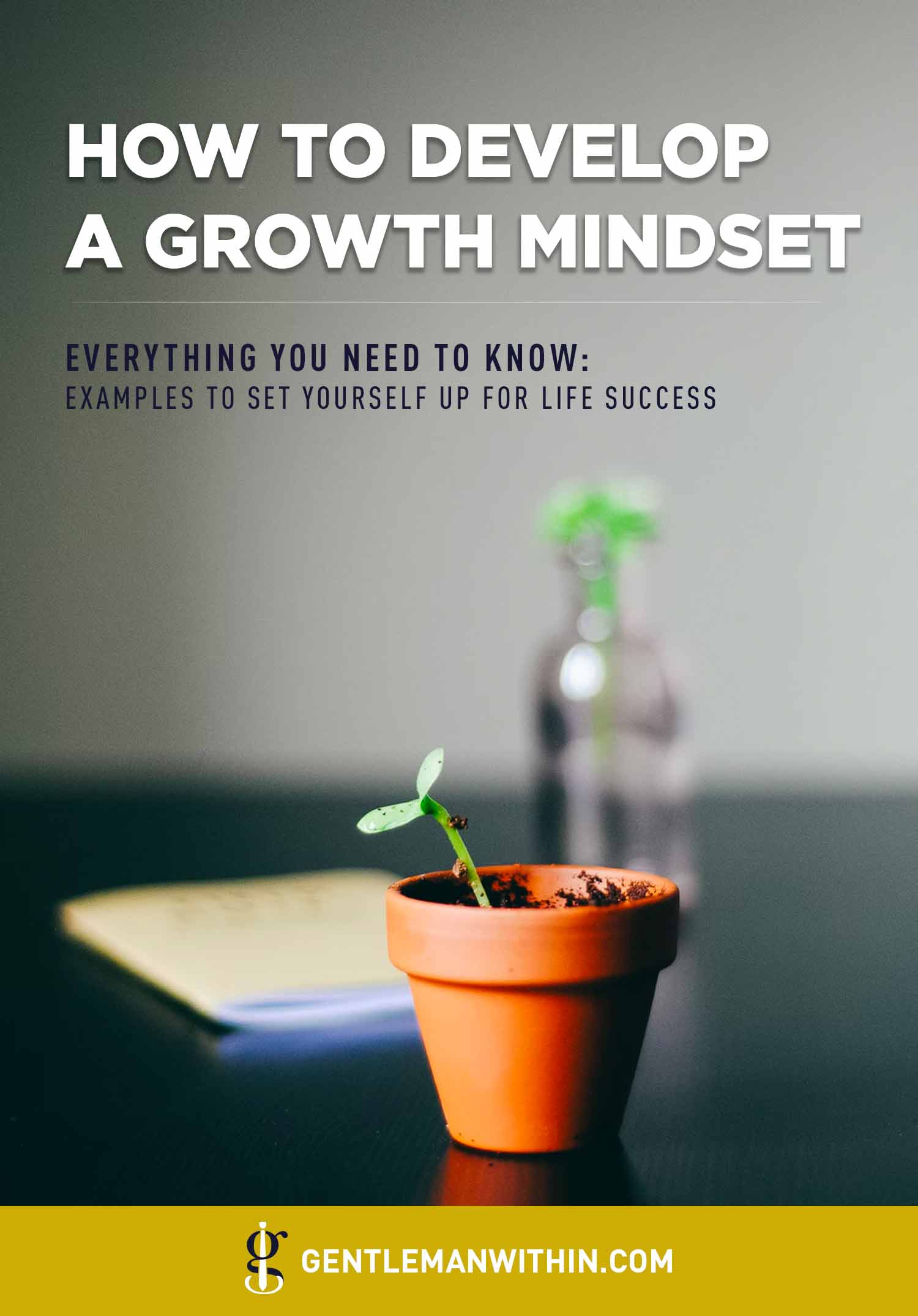 How To Develop A Growth Mindset For Life Success Pin