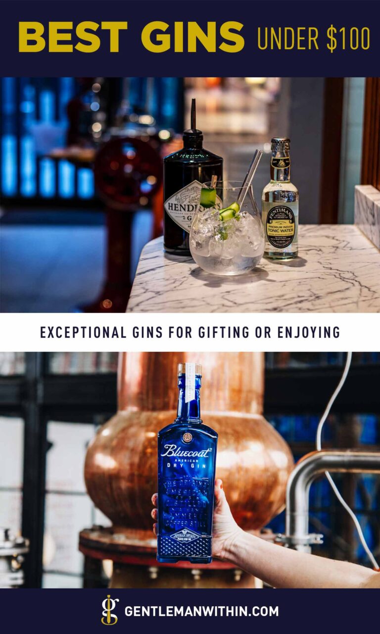10 Exceptional Gins Under 100 (Best Brands in 2024)